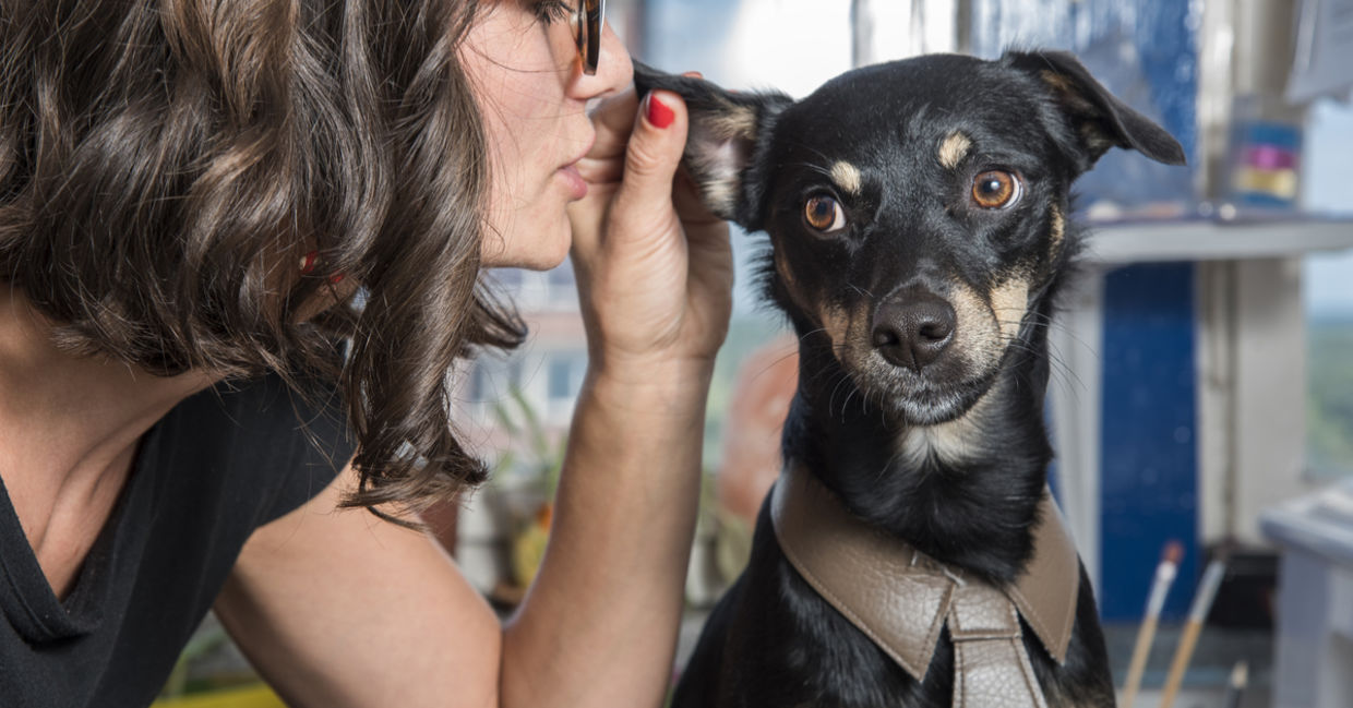 How to Talk to Your Dog, According to Science