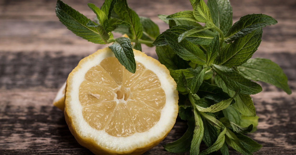 Lemon as a toothbrush? Innovative natural skincare