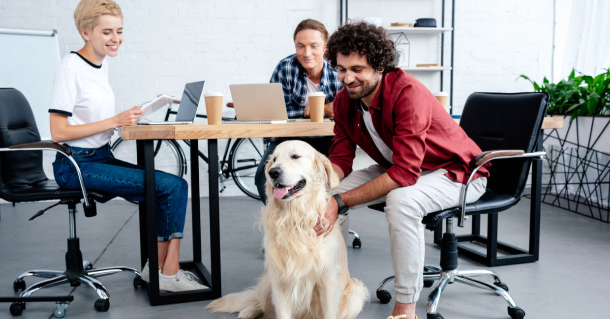 Why More Companies are Going to the Dogs