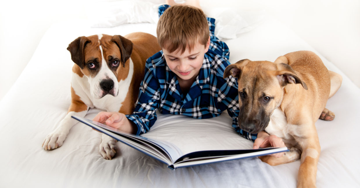 Kids reading to shelter dogs