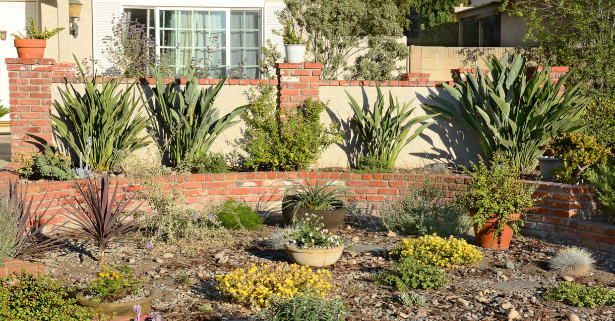 How to Turn Your Yard Into an Oasis