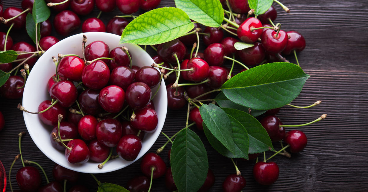 Cherries are a summer fruit
