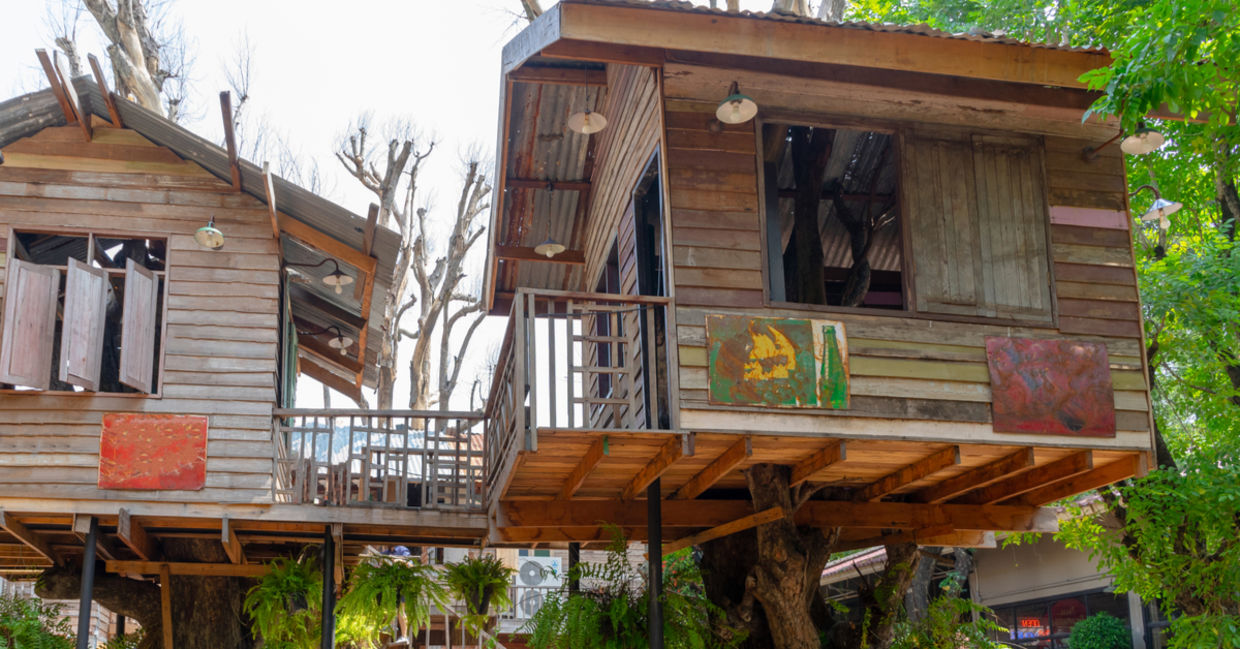 A model Oas1s forest neighborhood