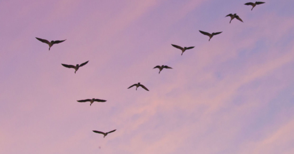 If everything in life went your way, where would you be 10 or 20 years from now? (Shutterstock)