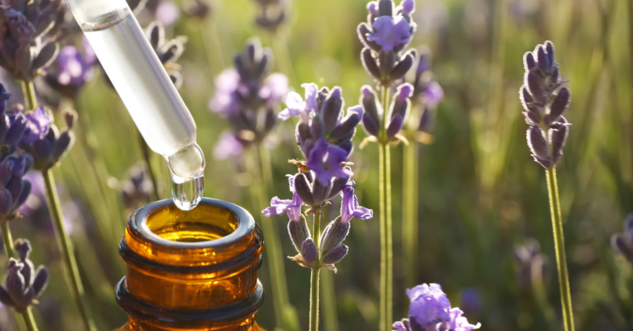 Dropper of lavender essential oil