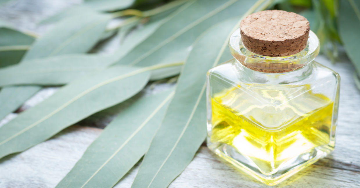 Bottle of eucalyptus essential oil