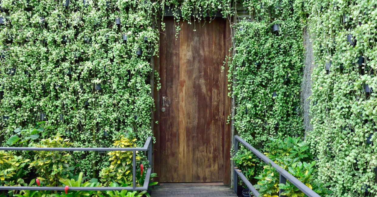 Use a vertical garden in your backyard landscaping.
