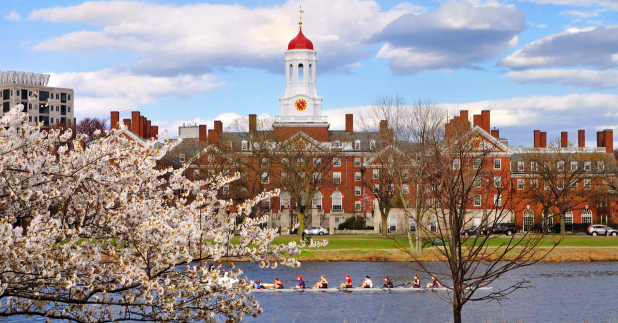 A college campus in the spring