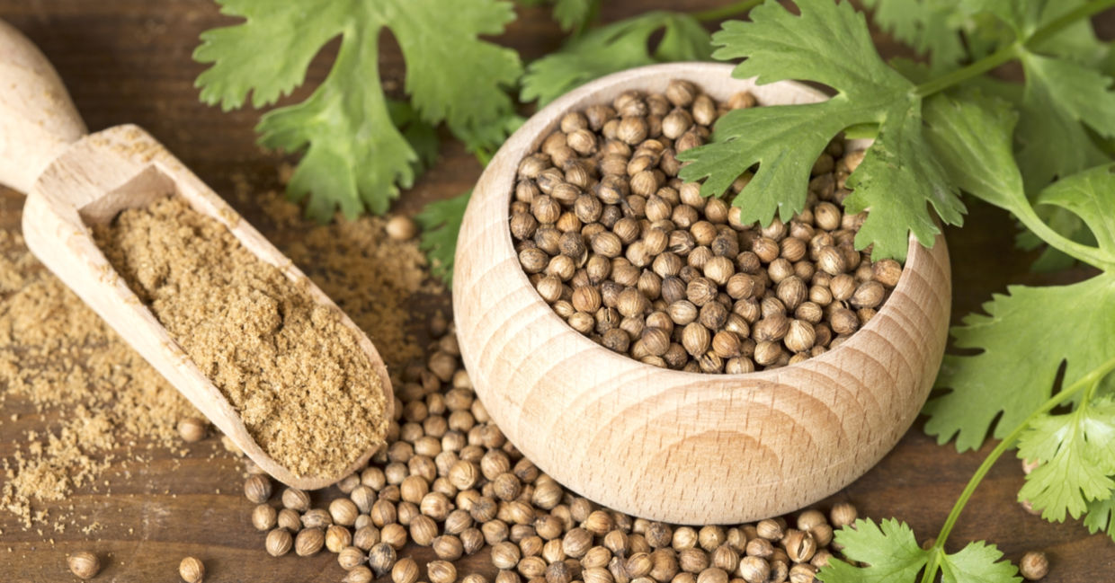 Coriander can replace salt.