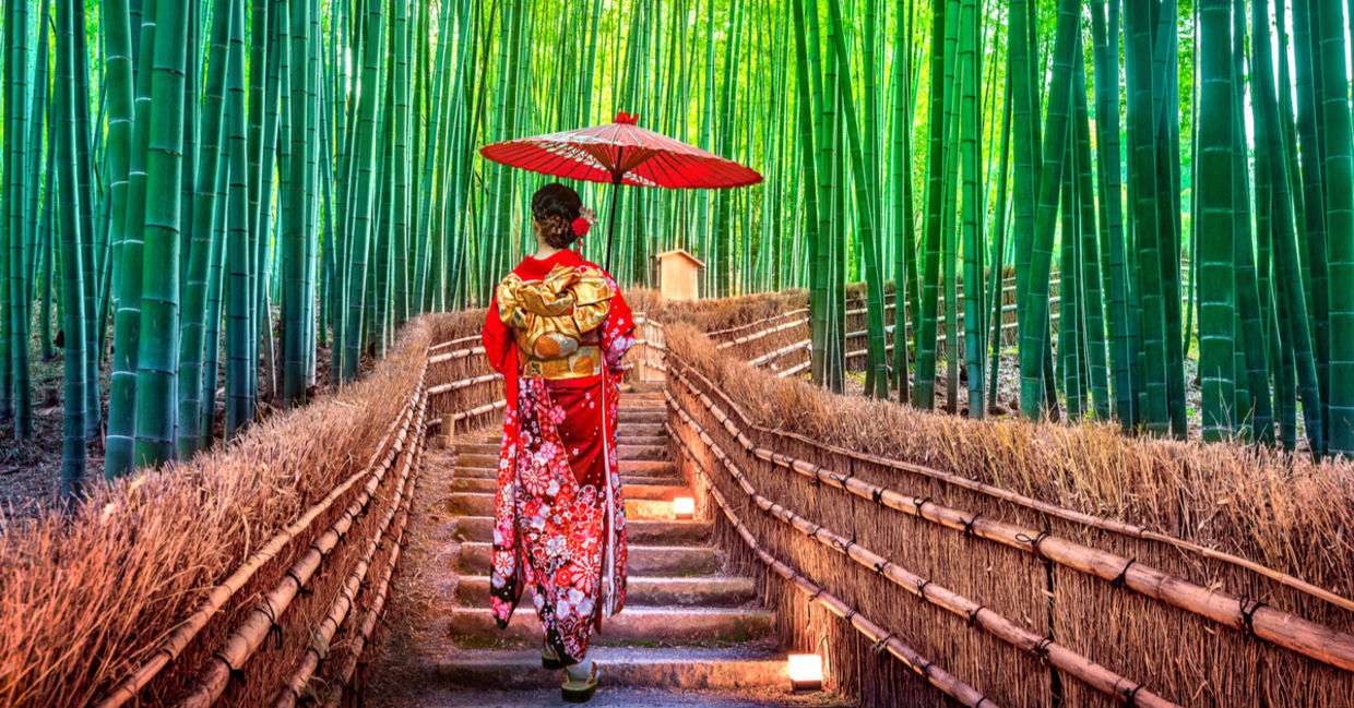 A Japanese woman in kimono enjoys exercise as she walks through a bamboo forest.