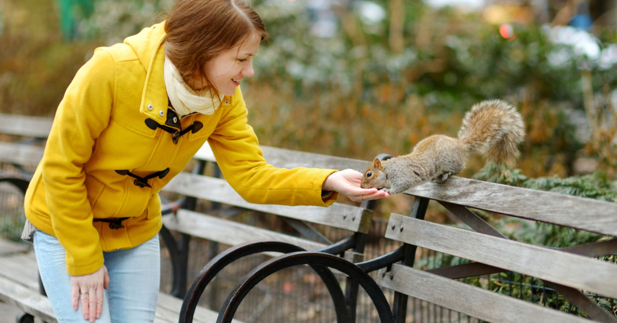 Woman feeding a squirrel in New York