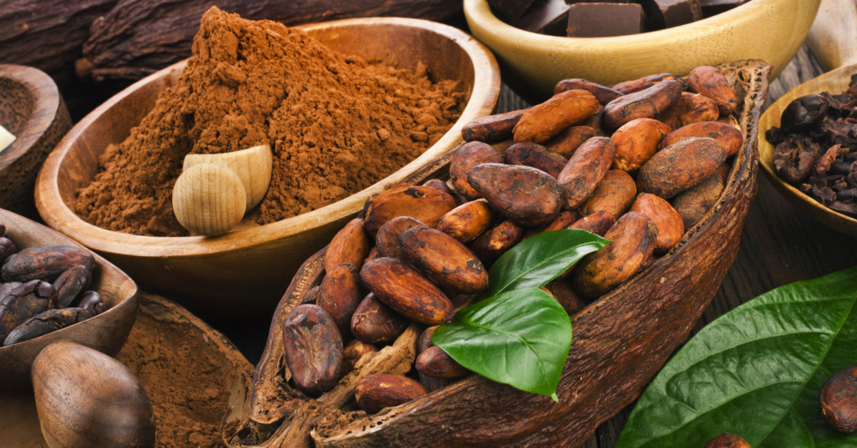 Cacao beans are made into chocolate.