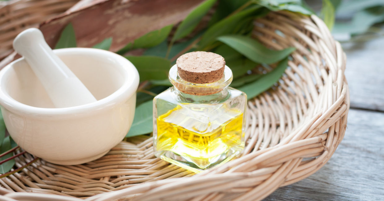 Use eucalyptus oil to heal the throat chakra.