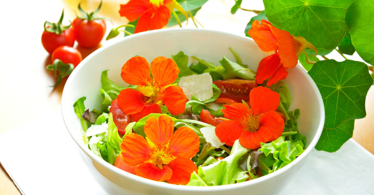 Nasturtium in salads helps to relieve gut inflammation.