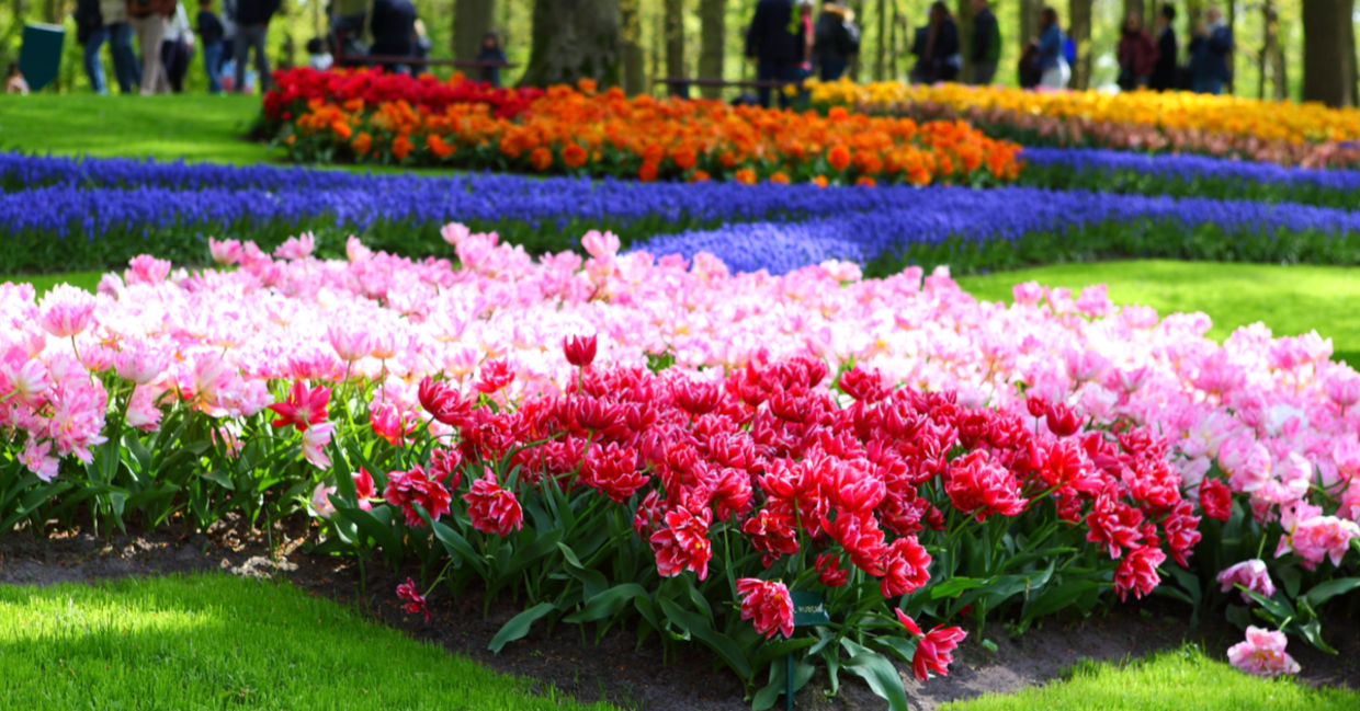 Flower beds planted in monochromatic colors.