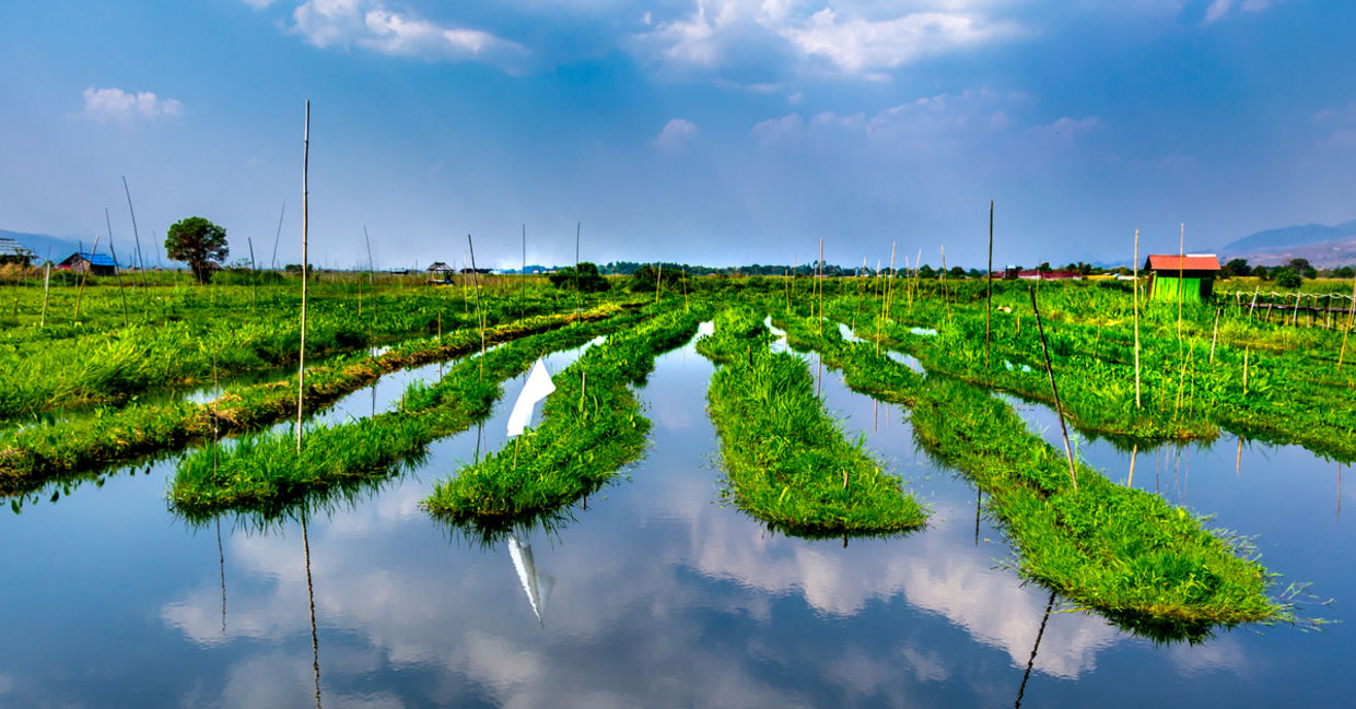 Bangladesh's Floating Gardens May be the Key to Future Farming