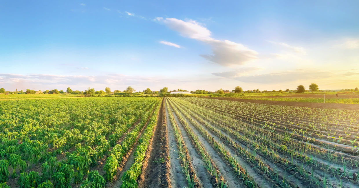 Eco-friendly farming.