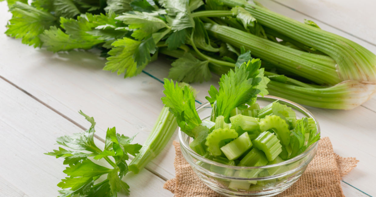 Celery stems and leaves