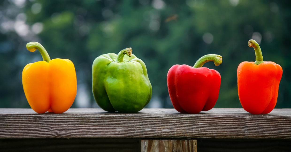 Bell peppers of various colors