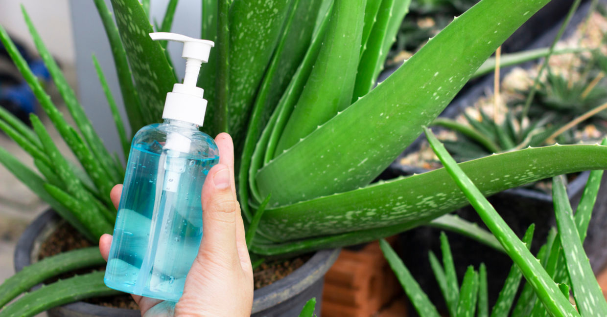 Hand sanitizer that contains aloe.