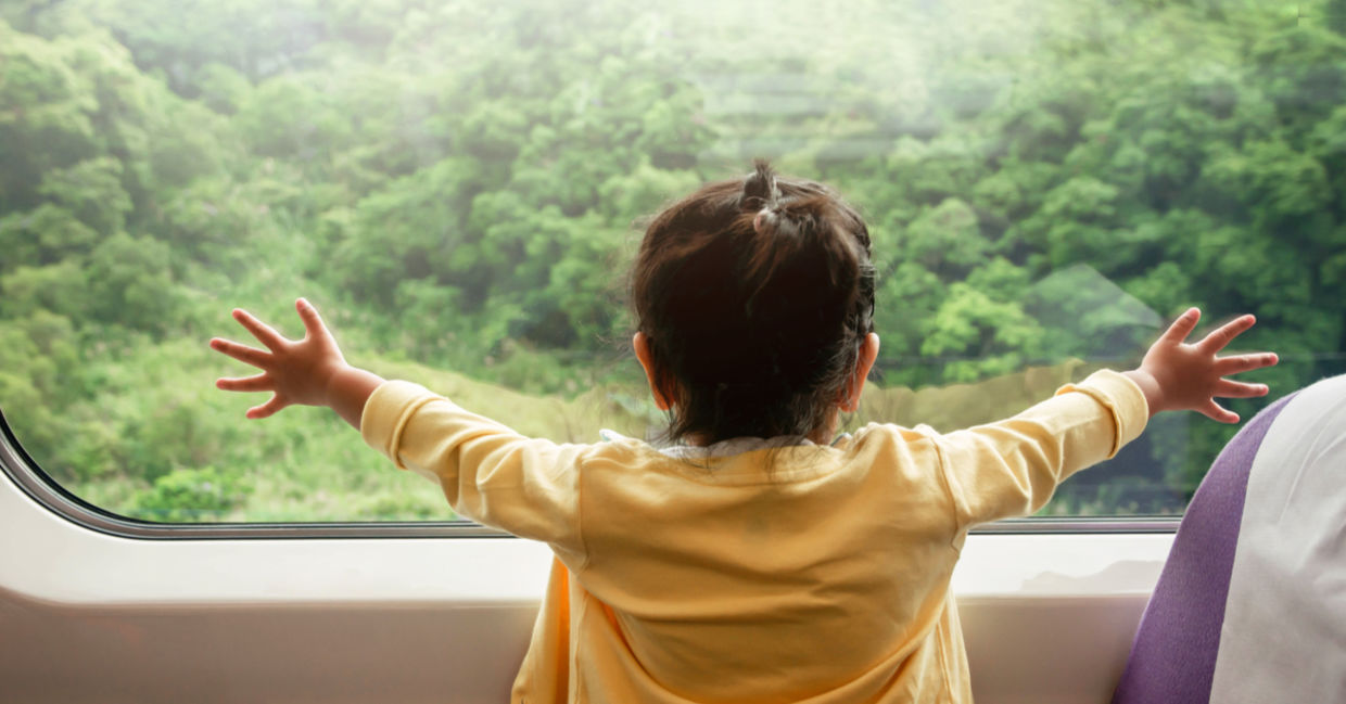 Boy enjoying scenic train travel