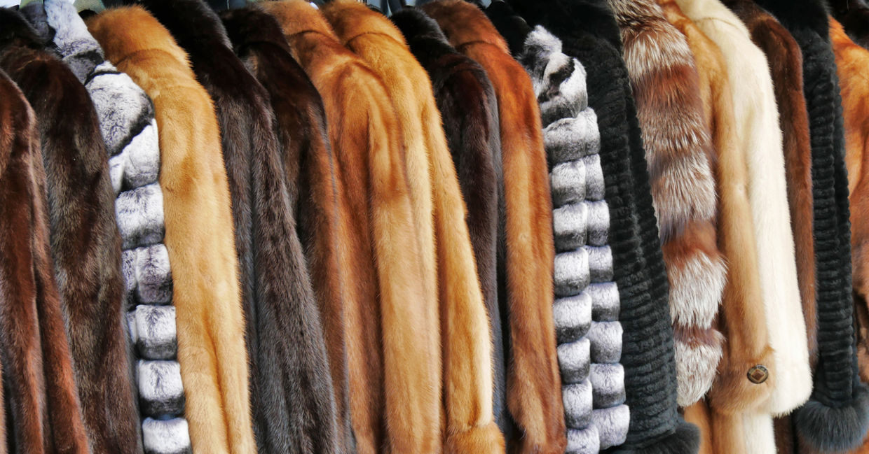 Fur coats hanging in a store.