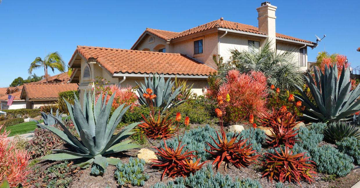 This home has drought-resistant landscaping.