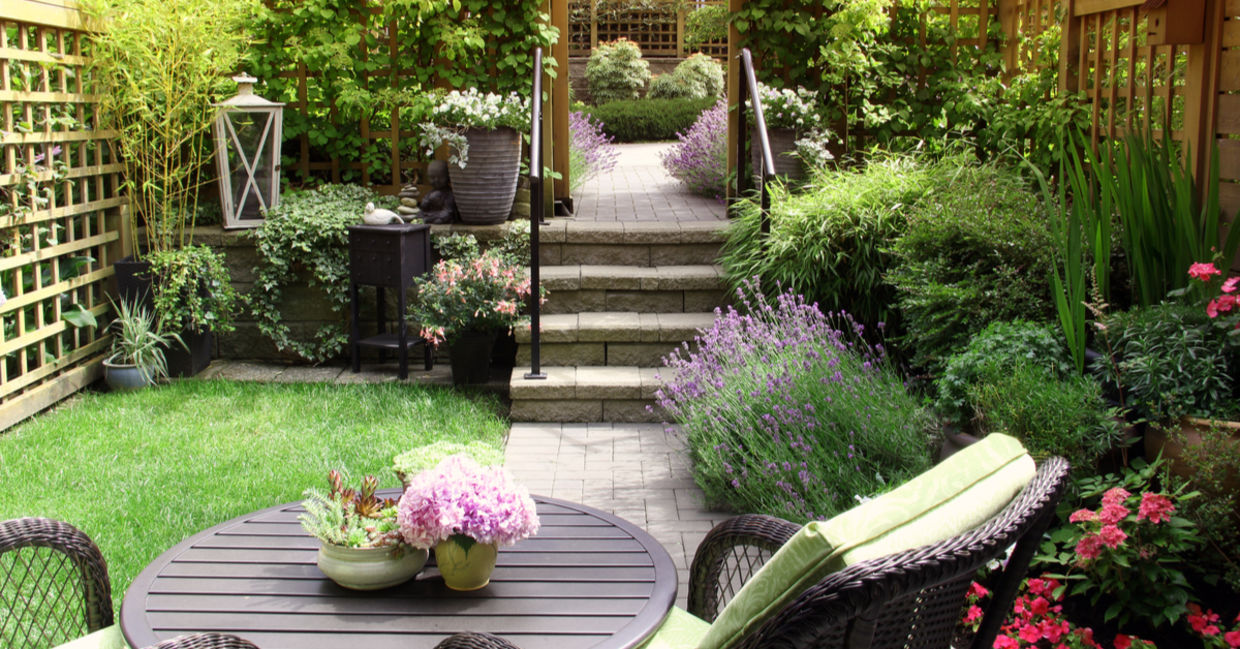 Lavender by the patio will keep the bugs away.