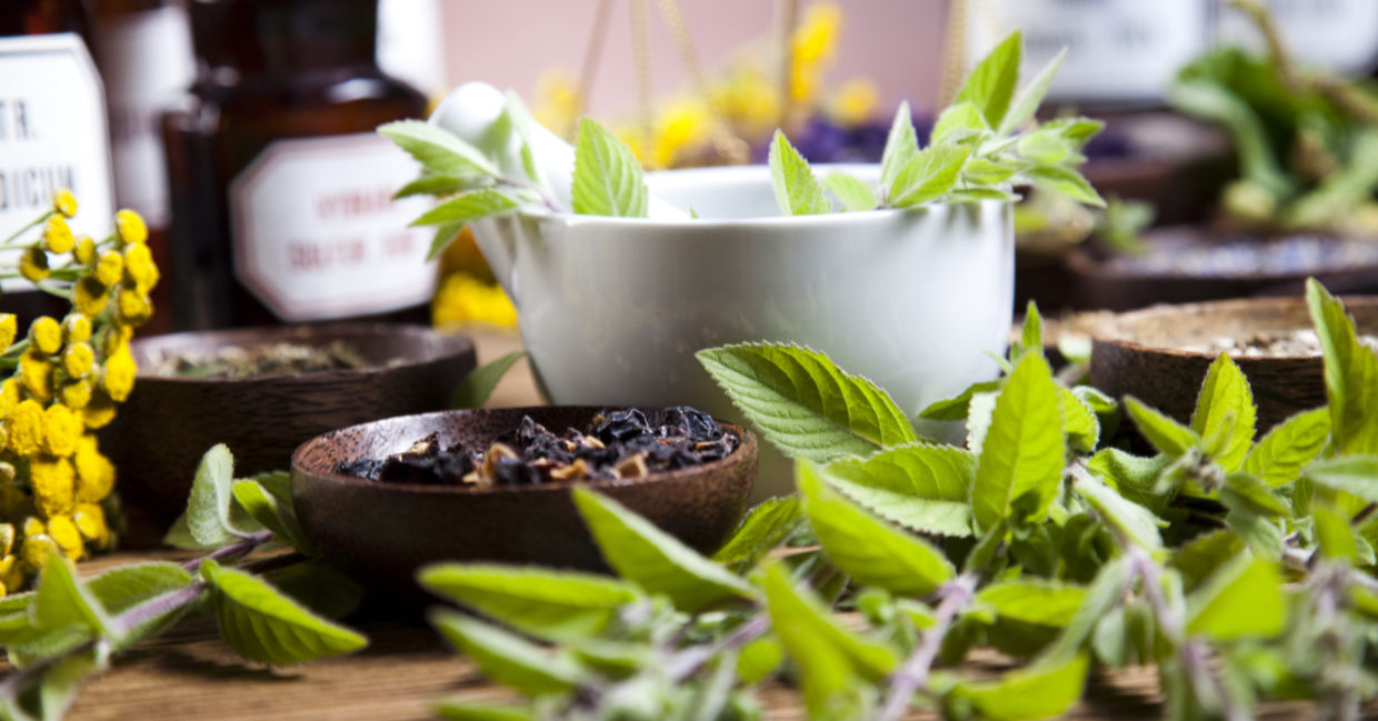 Medicinal herbs have healing properties.