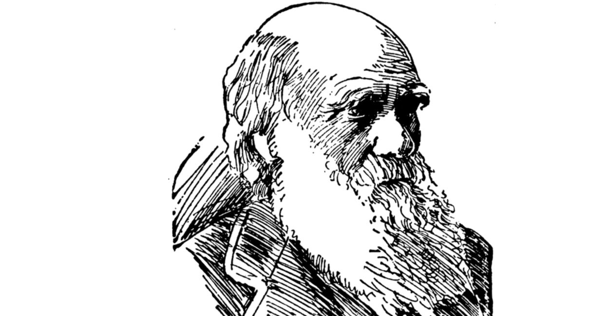 a drawing of Charles Darwin.