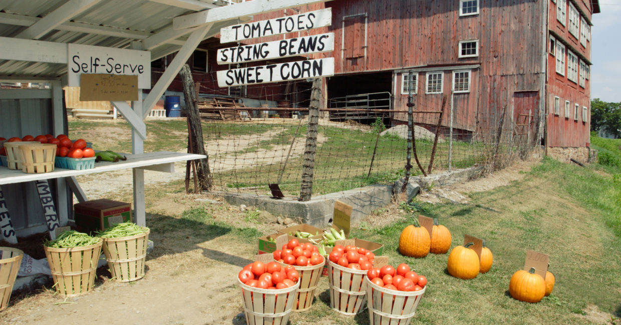 A local farm stand.