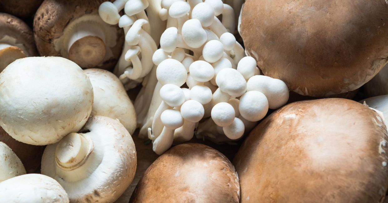All of these mushroom varieties have health benefits.