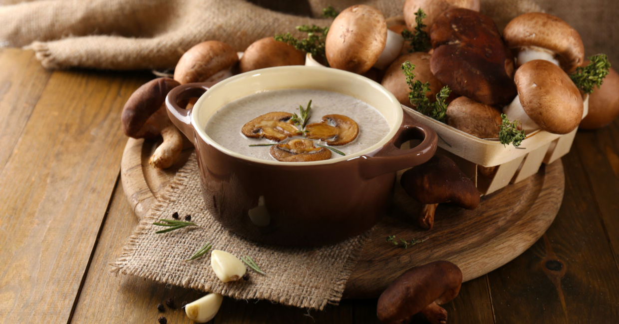 Mushroom soup is good for your health.