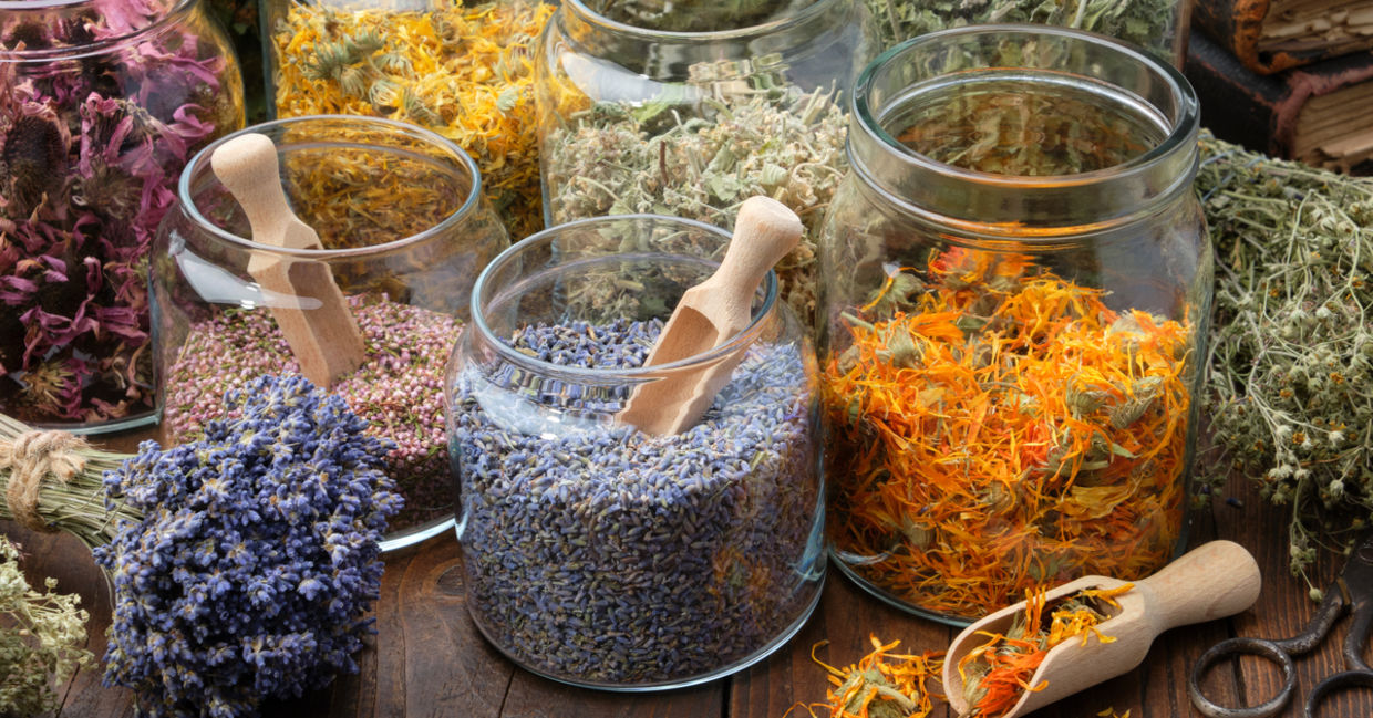 Jars and bundles of dried flowers used for making aromatic essential oils.