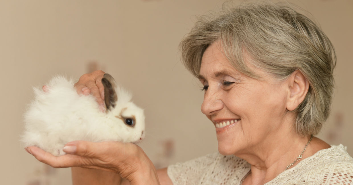A senior woman petting comfort bunny.