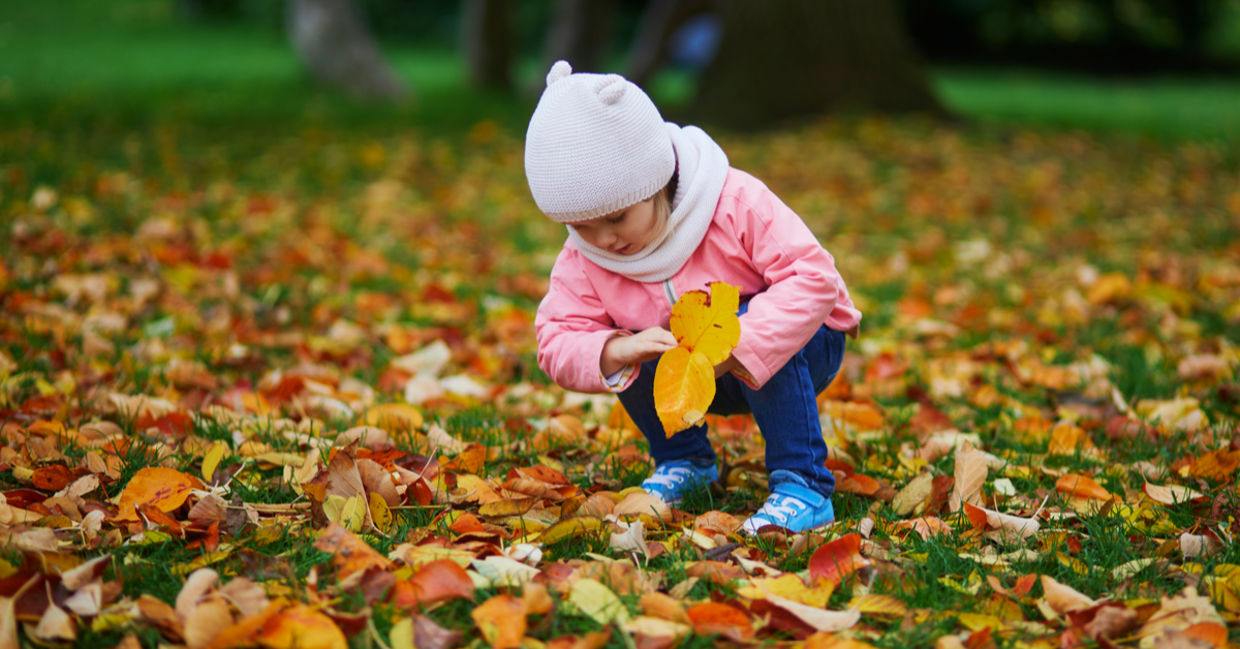 Child playing in fall leaves.