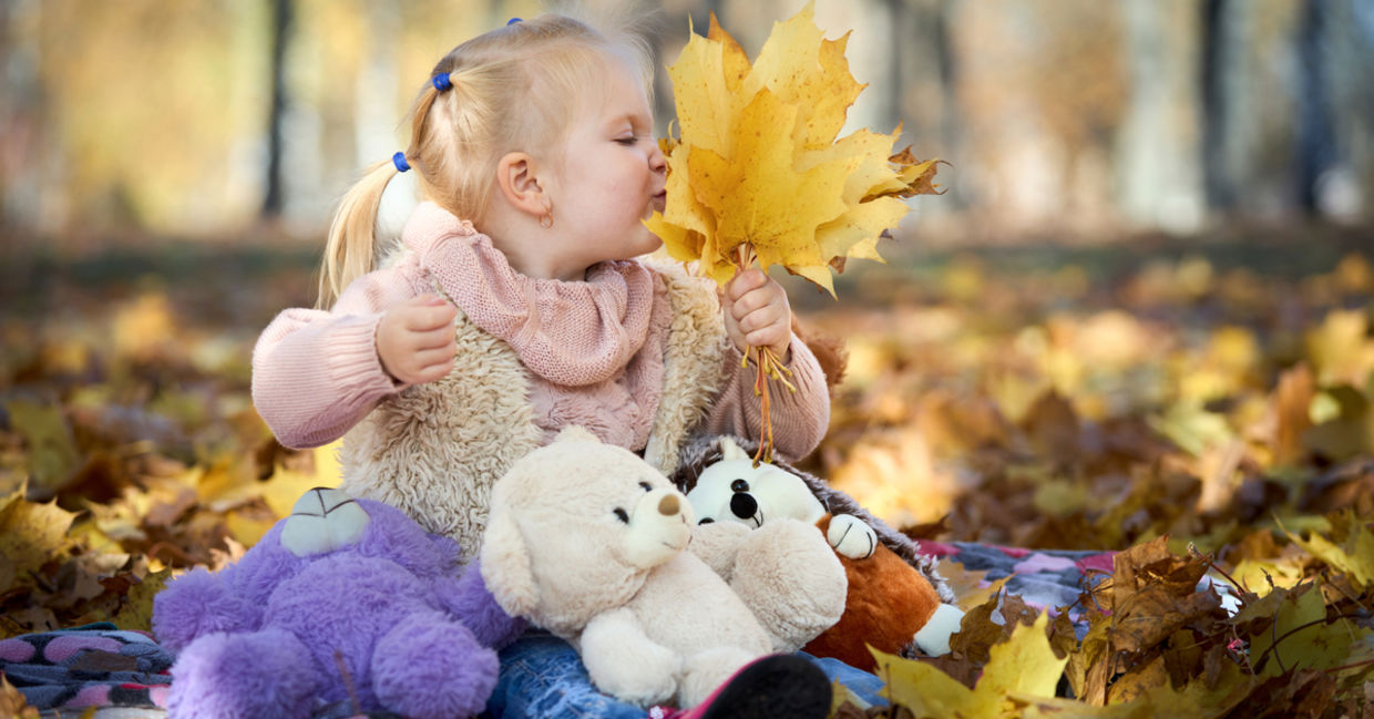 Little girl plays with yellowed autumn maple leaves with her soft toys around her
