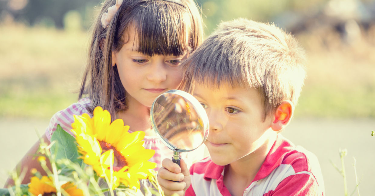 Smiling children playing with magnifying glass in a garden