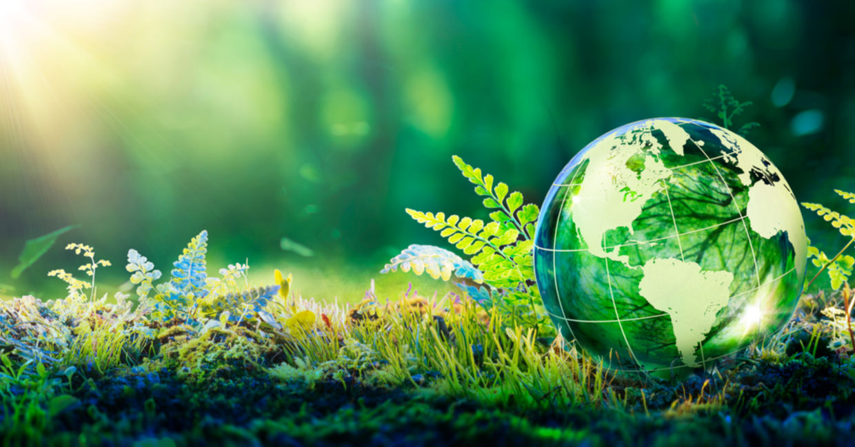 Save the envionment.