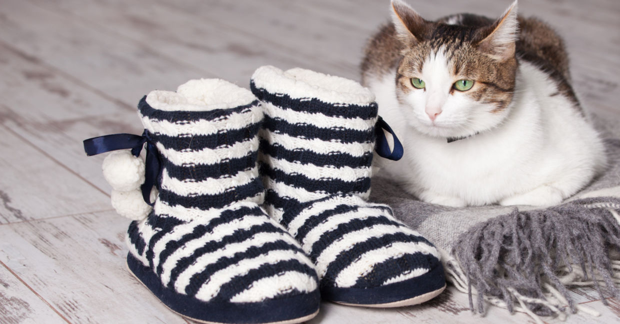 keep your feet warm with furry lined slippers.