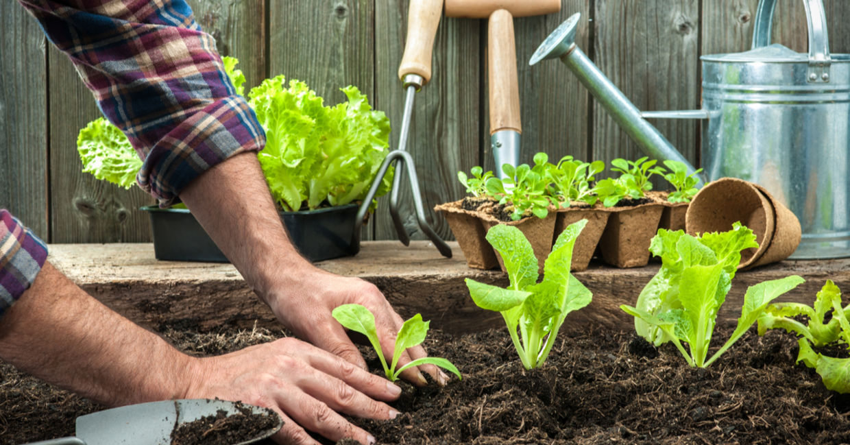 Planting a garden.