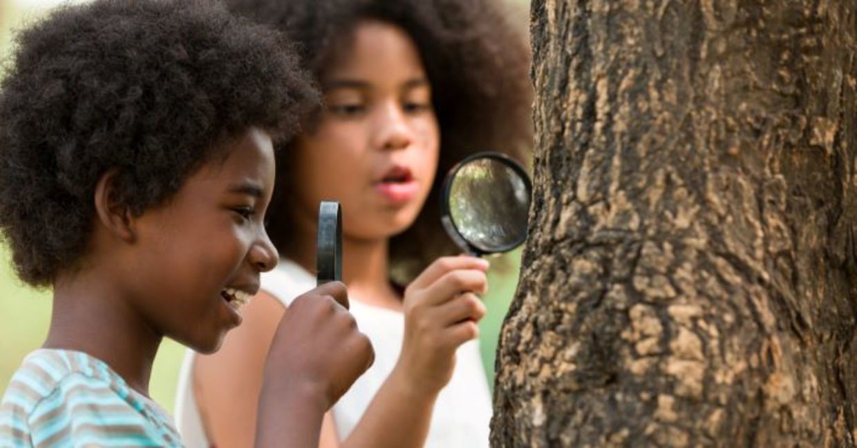 Happy children examining tree stem