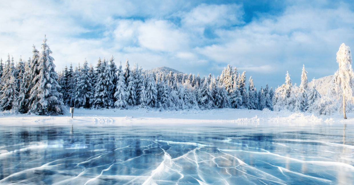 A frozen lake with snow-covered pine trees.