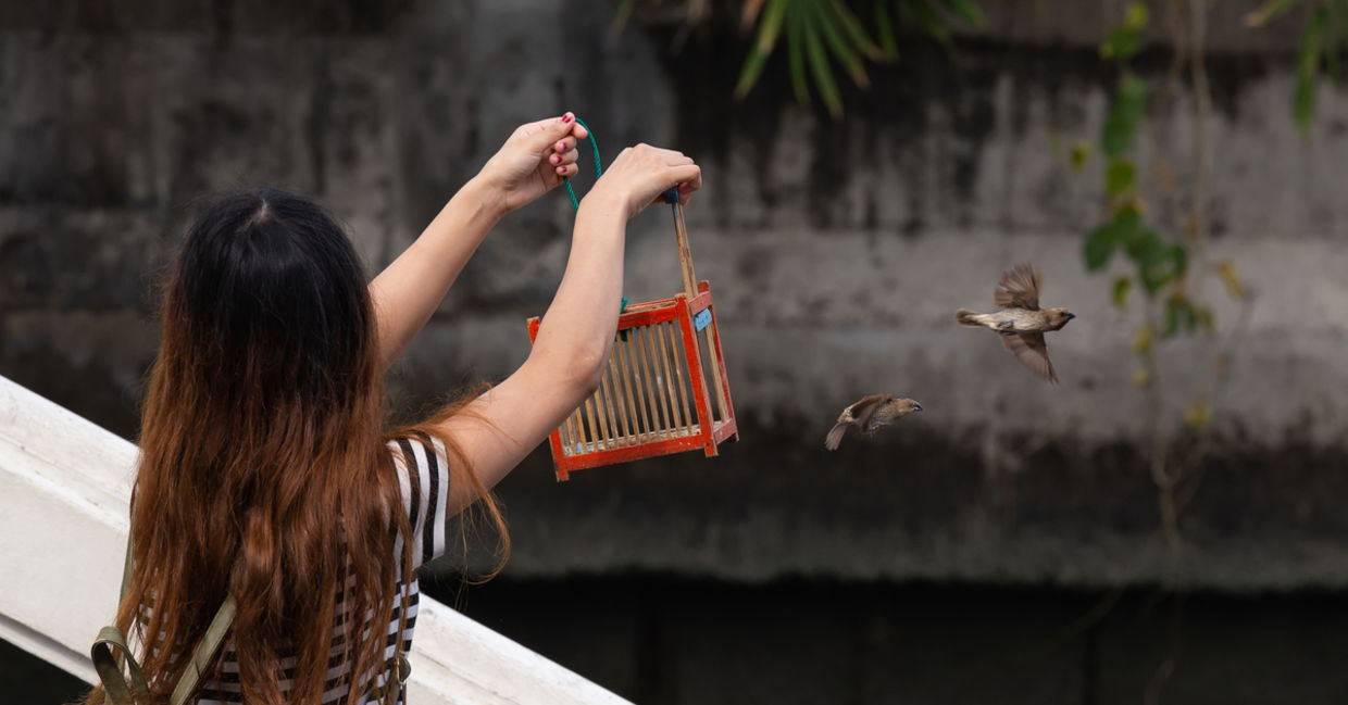 Woman releasing birds into the wild.