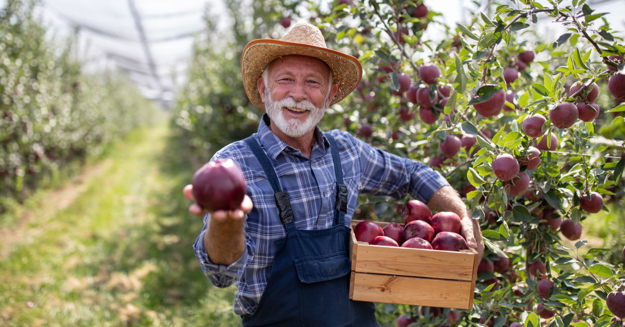 Farmer