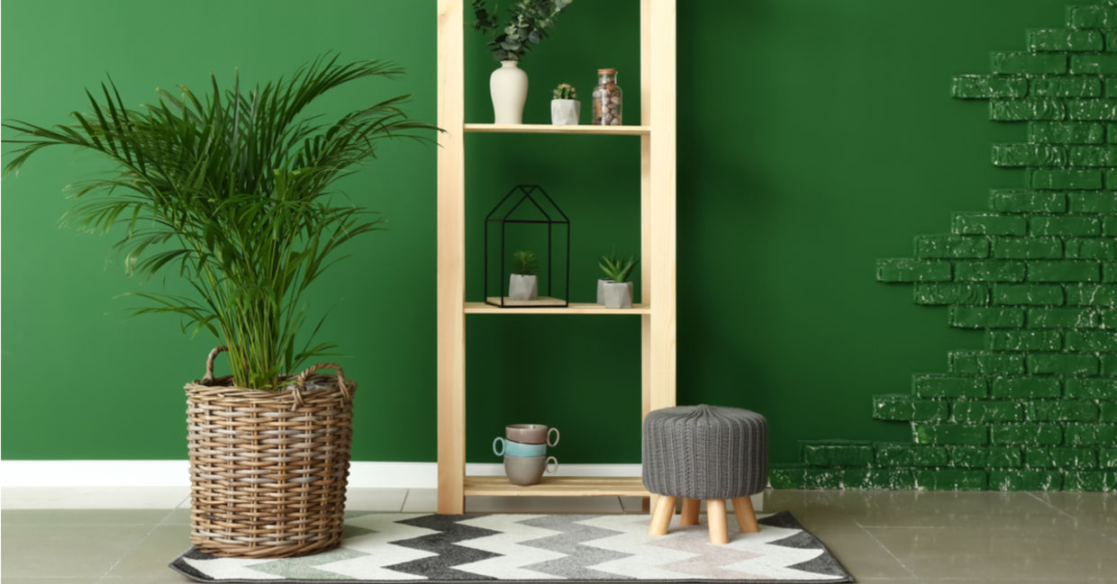 An accent wall painted a deep forest green wall and a potted palm add natural calm to a room.