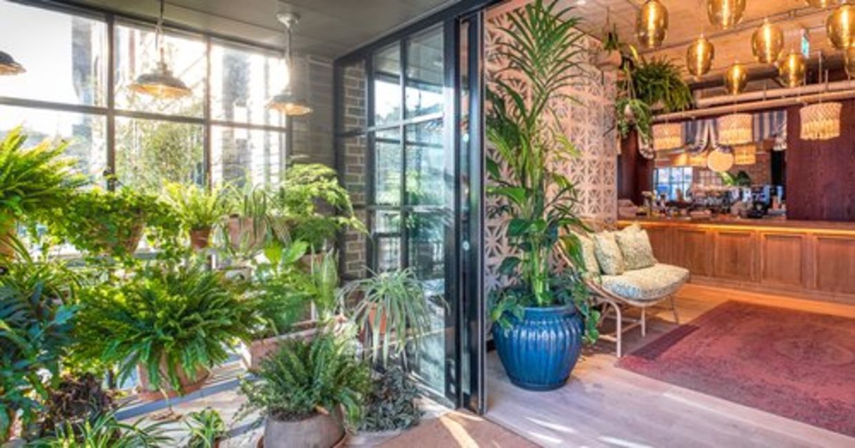 The plant-filled hotel lobby of Room2, Chiswick.
