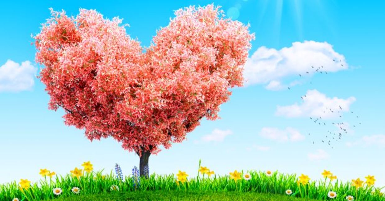 Green grass and spring flowers by tree in the shape of a heart to represent giving help to others.