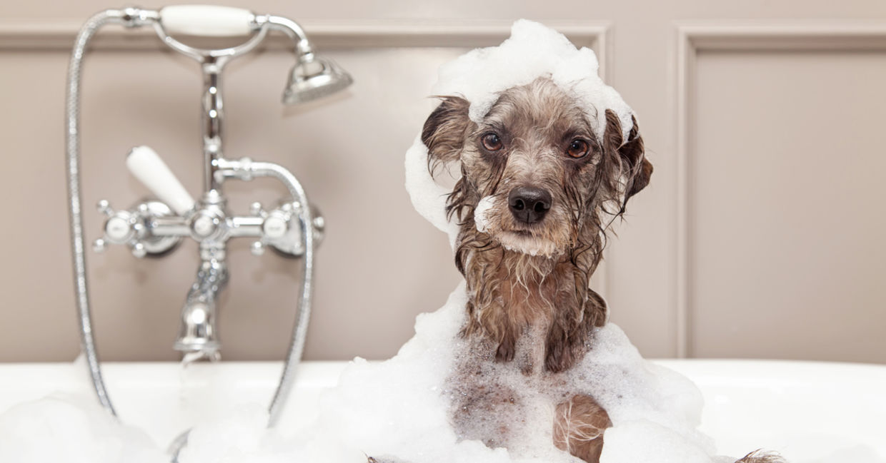 Turn the water off when you lather.