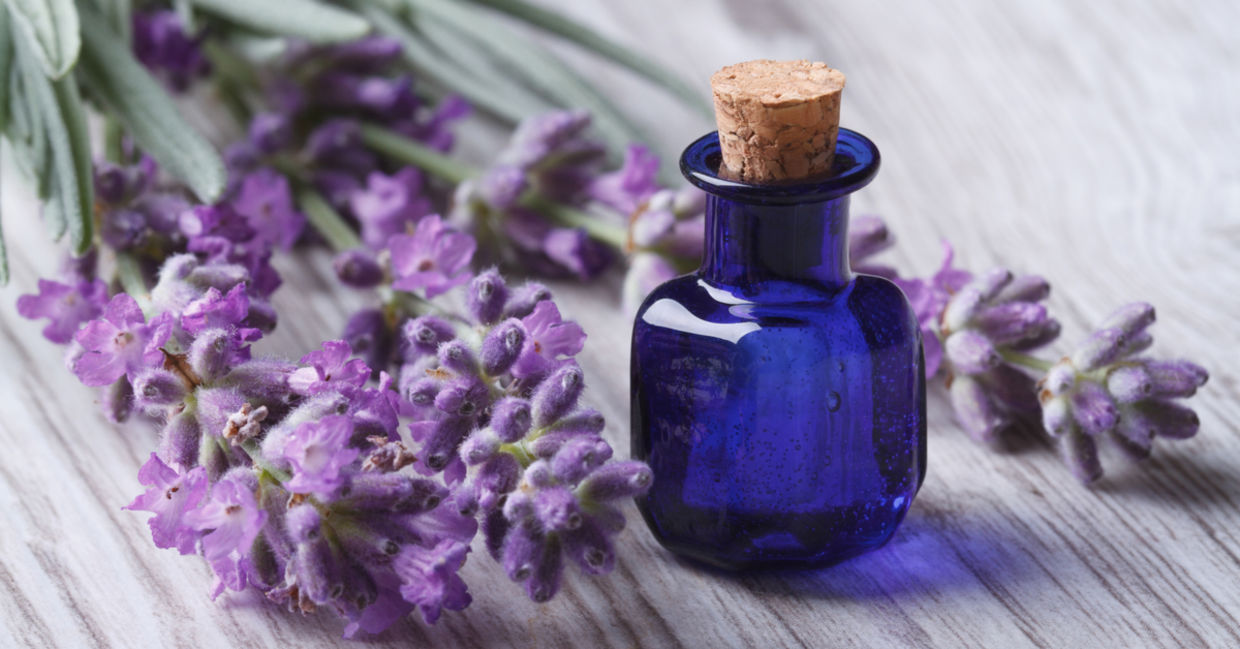 Lavender oil in a glass bottle next to fresh lavender flowers.